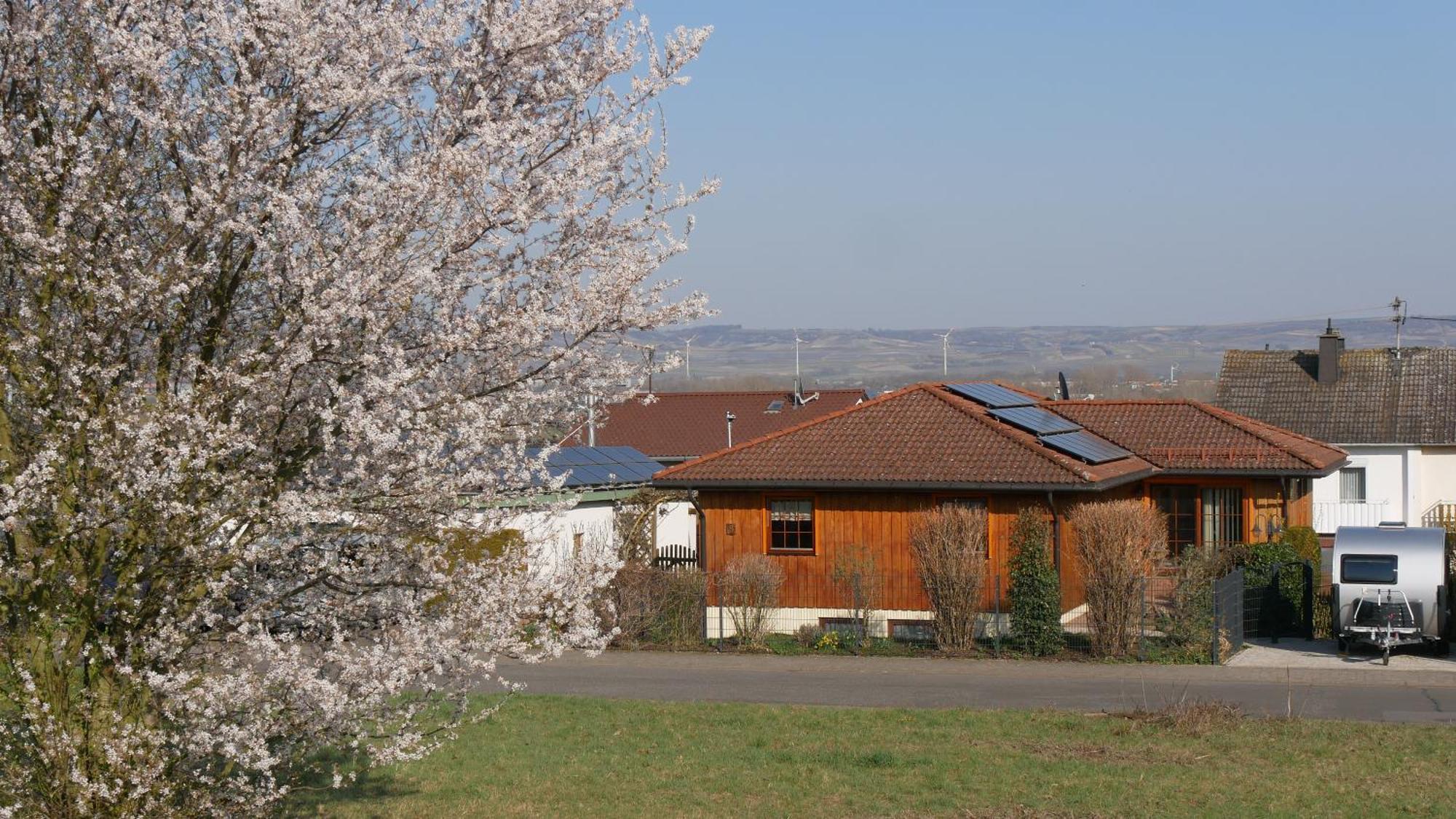 Ferienwohnung An Den Weingaerten Langenlonsheim 外观 照片